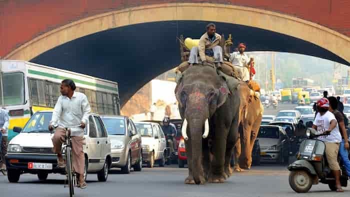فرهنگ ترافیک در هند  چگونه است؟