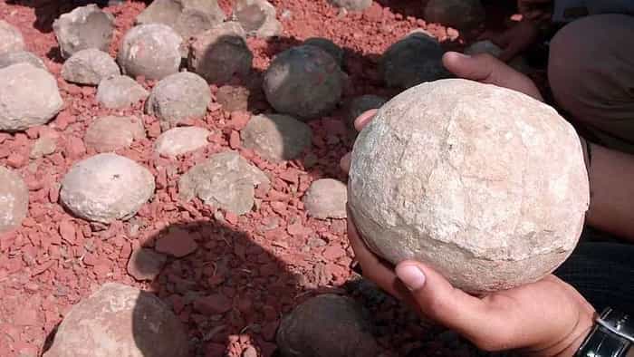 سنگ‌های مقدس که هندوها پرستش می‌کردند تخم‌های دایناسور از آب درآمدند