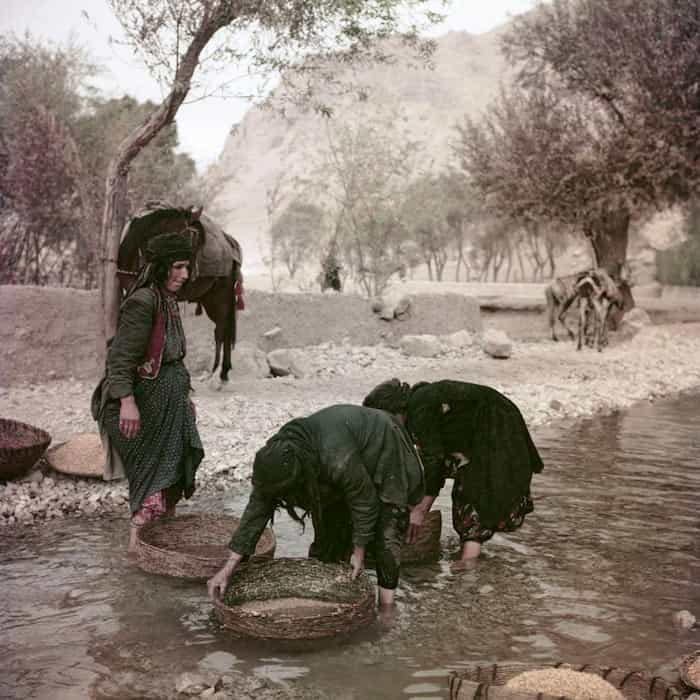 گروهی از زنان در حال شستن گندم (احتمالاً) کرمانشاه سال 1960