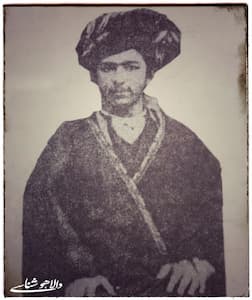 ضرغام السلطنه دانیالی