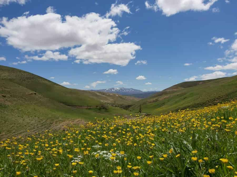 بهبود وضعیت راه‌های روستایی و خوشحالی اهالی سریک و پیک از آسفالت جاده‌ها