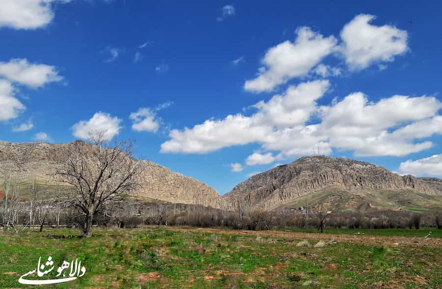 انتقاد از کپی‌برداری غیرمجاز از محتوای کانال‌های فرهنگی