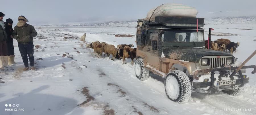 نجات گله گوسفندان گرفتار در برف روستای همت‌آباد با تدبیر فرماندار باخرز