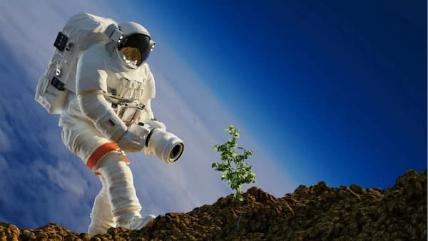 ناسا در ماموریت آرتمیس ۳ به دنبال کشت و زرع در کره ماه