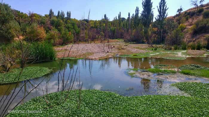 طبیعت زیبای روستای کبوران تفرش