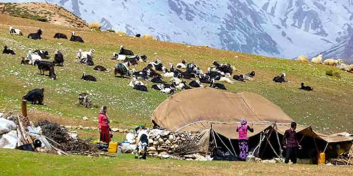 عشایر مازندران از کوچ به ییلاقات خودداری کنند!