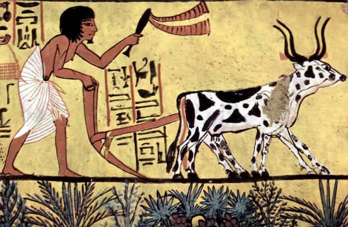 سفر در زمان به دوران قبل از کشاورزی: انسان‌های اولیه چه می‌خوردند؟