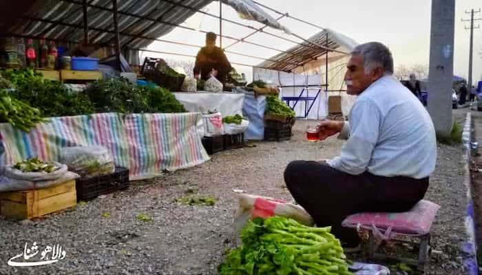 بهار دالاهو با سفره‌ سبز و پر برکت