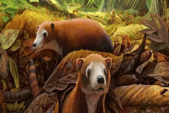 جد گاو، گوزن و خوک کشف شد: فسیل پستاندار ۶۵ میلیون ساله در آمریکا
