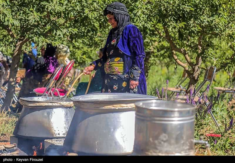 دومین جشنواره گل محمدی و گلاب‌گیری در سلطانیه عطرآگین شد