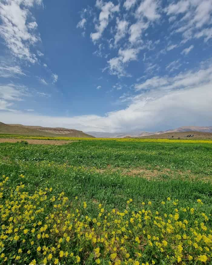 زیبائیهای چشم نواز بهاری تفرش در روستای نوبهار 