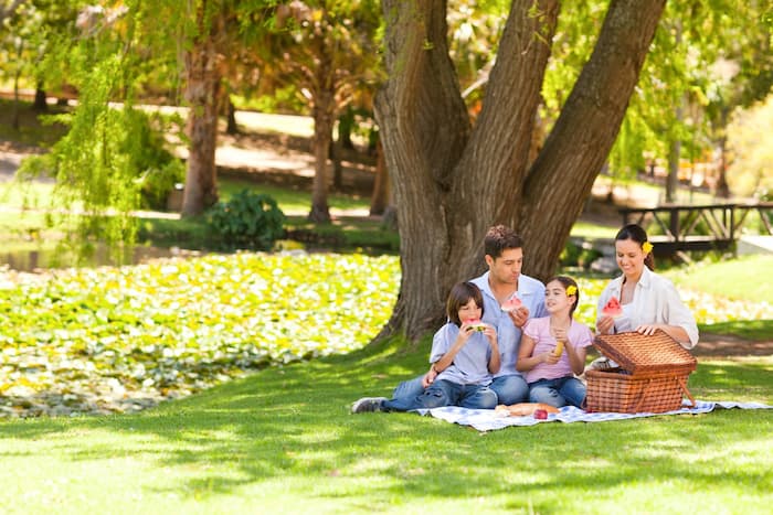 با گرما مقابله کنید و شاداب بمانید: نکاتی برای تغذیه در گرمای تابستان