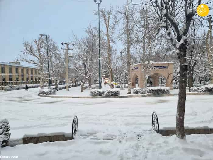 تفرش زیر سفیدای برف زمستانی