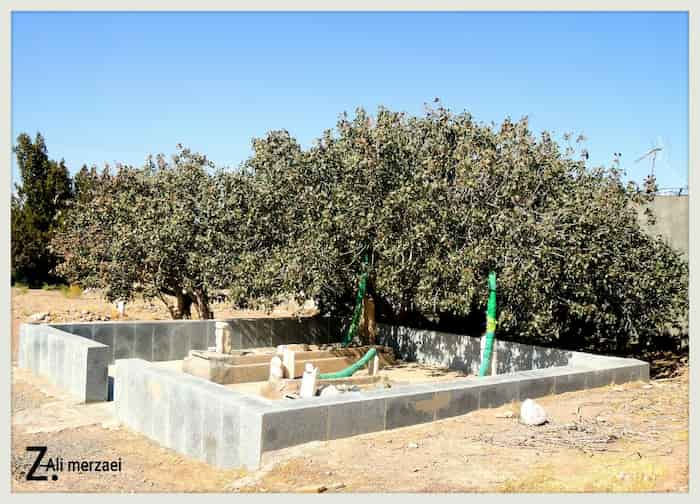 نمایی از مزار پیر شکر بار روستای فرمان آباد تایباد