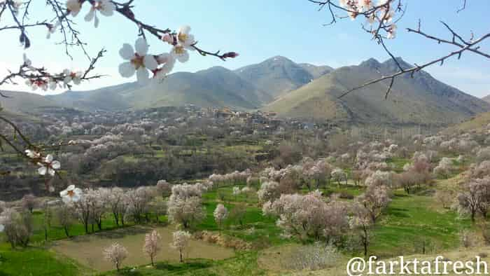 فرک: روستایی در دامنه کوه‌های تفرش