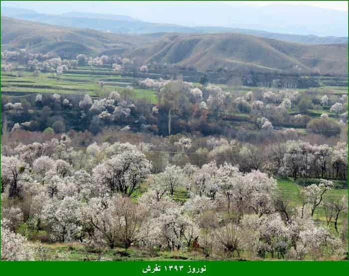 بهار در روستای بازرجان: شکوفه‌ها و مناظر دل‌انگیز