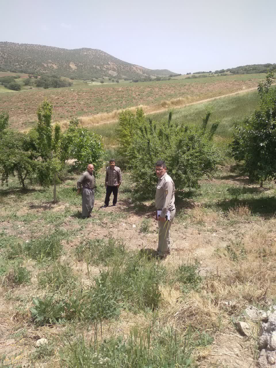 بازدید کارشناسان اداره محیط زیست دالاهو از محل احداث فاضلاب روستای هیورو