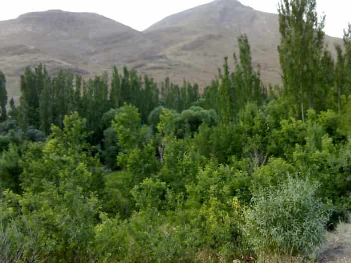 روستای آذران: نگینی در دل کوه‌های کرکس