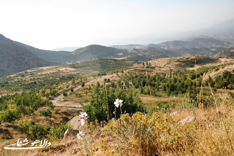 چم‌زرشک علیا: روستایی در دالاهو با مردمی خونگرم و طبیعتی بکر