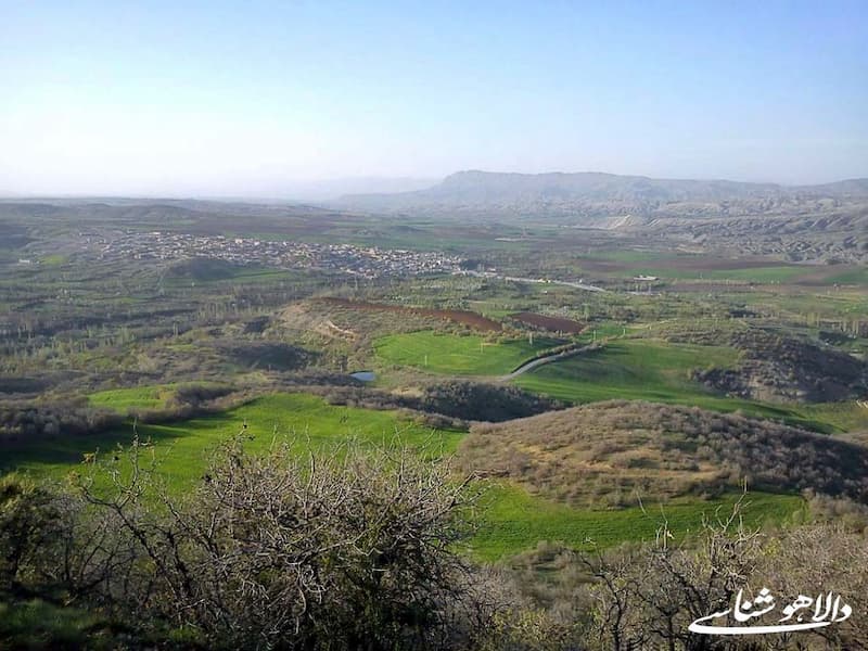 گهواره: سفری در گذر زمان از روستای شیرک تا نگین توتون ایران