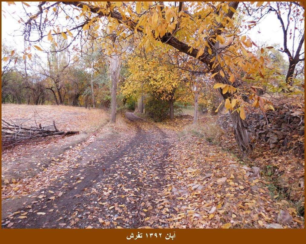 گزارش بازدید از روستای طراران - تفرش در فصل پاییز