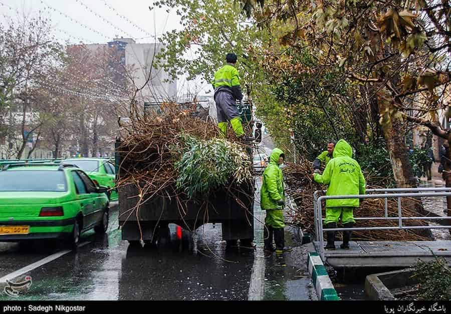 قطع درختان خیابان ۲۲ بهمن کاشان علی‌رغم وعده‌های قبلی