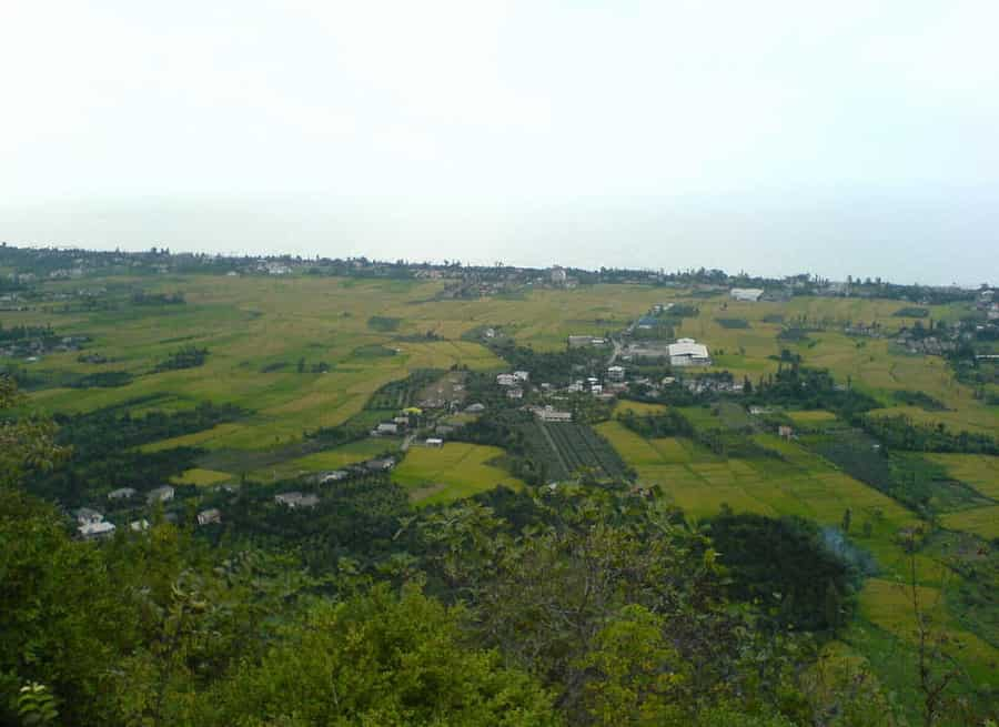 روستای نیاسته: جغرافیا، تاریخ و مشاهیر