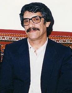 سید نورالدین رضوی سروستانی