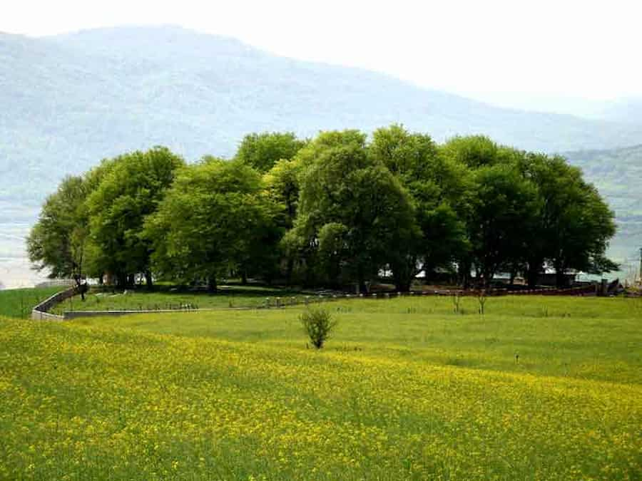 معرفی روستای ورند ساری