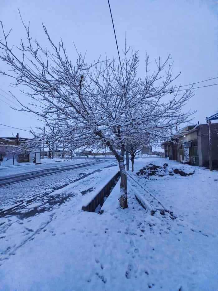 برف زمستانی در مشهدریزه تایباد